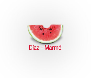 Blog Díaz Marmé